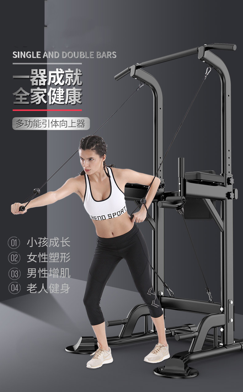 Barra de dominadas para entren - Home Gym Wall reseña y precio