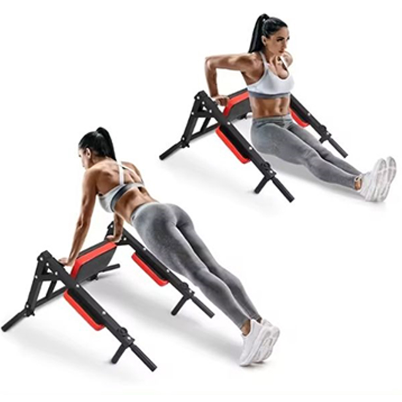 Barra paralela y de dominadas  - Home Gym Wall reseña y precio