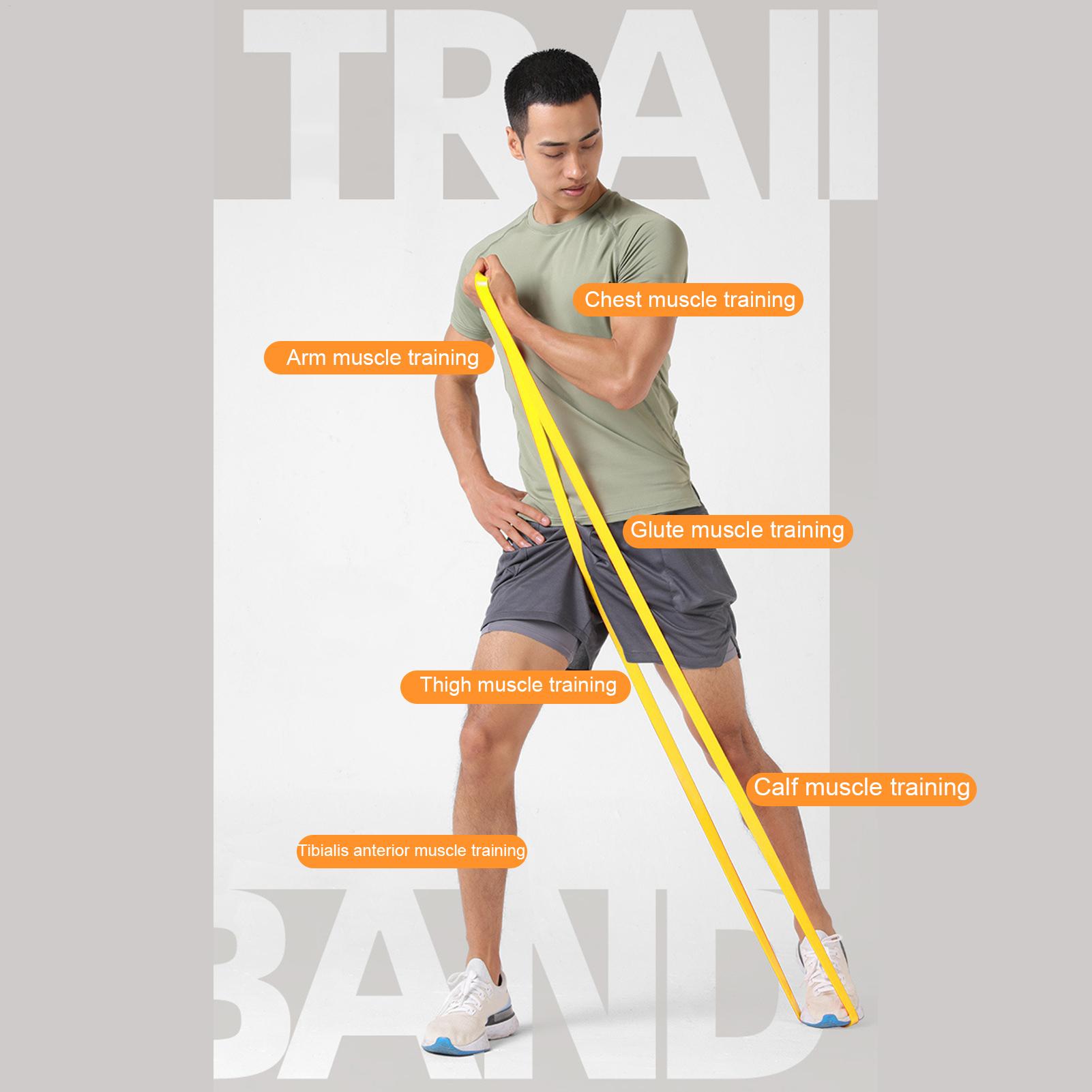 Bandas elásticas de resistenci - Home Gym House reseña y precio